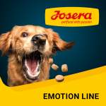 Emotion Line