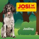 JosiDog