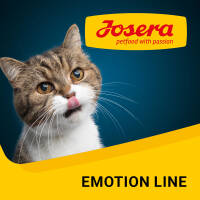 Emotion Line