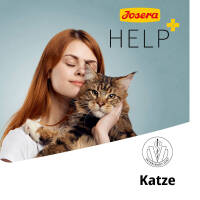 Help Line