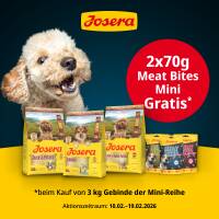 AKTION 10.02. - 19.02.2026