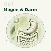 Magen & Darm