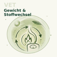 Gewicht & Stoffwechsel
