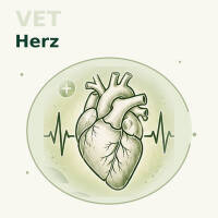 Herz
