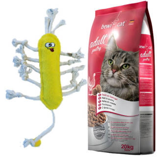 20 kg Bewi Cat Adult Poultry + Josera Kritzelmännchen