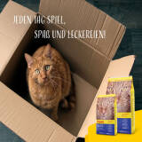 Josera DailyCat 2 x 10 kg