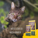 2 x 10 kg Josera NatureCat