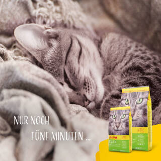 10 kg Josera SensiCat