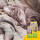 Josera SensiCat 2 x 10 kg