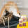 Josera Kitten 2 x 10 kg