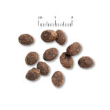2 x 12,5 kg Belcando Puppy GF Poultry