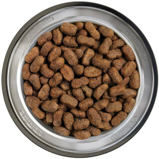 12,5 kg Belcando Junior GF Poultry