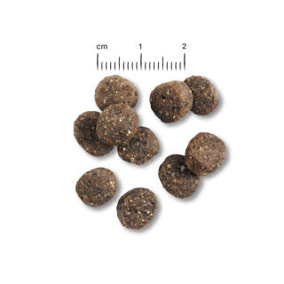 Belcando Finest GF Salmon 12,5 kg - Tierfutterkiste Heider GmbH