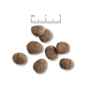 12,5 kg Belcando Finest Croc