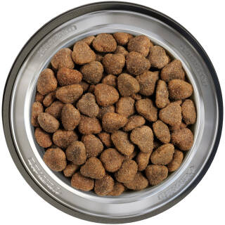 12,5 kg Belcando Junior Lamb & Rice