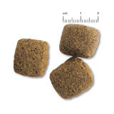 12,5 kg Belcando Junior Maxi