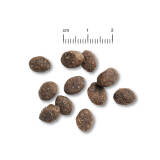 12,5 kg Belcando Puppy Gravy
