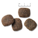 2 x 12,5 kg Belcando Adult Power
