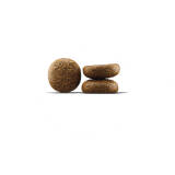 2 x 12,5 kg Josera Active Nature