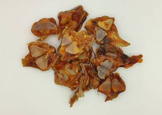 Pferde Achillessehnen-Knochen