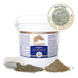 EQUIPUR - organ 3 kg (Pellets)