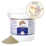 EQUIPUR - carotin 3 kg (Pulver)