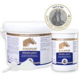 EQUIPUR - biotin plus 1 kg (Pulver)