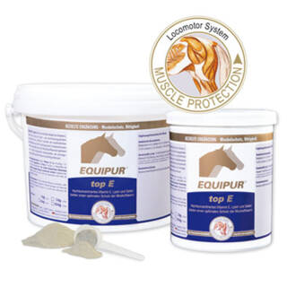 EQUIPUR - top E 6 kg (Pulver)