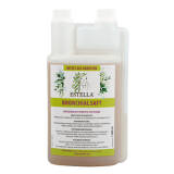 Estella - Bronchialsaft 1 l