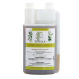 Estella - Teufelskrallensaft 1 l