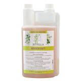 Estella - Nierensaft 1 l