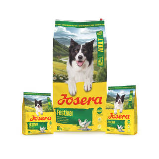 Josera A/S Adult Festival 3 x 3 kg