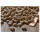 2 x 12,5 kg Bewi Dog Sport
