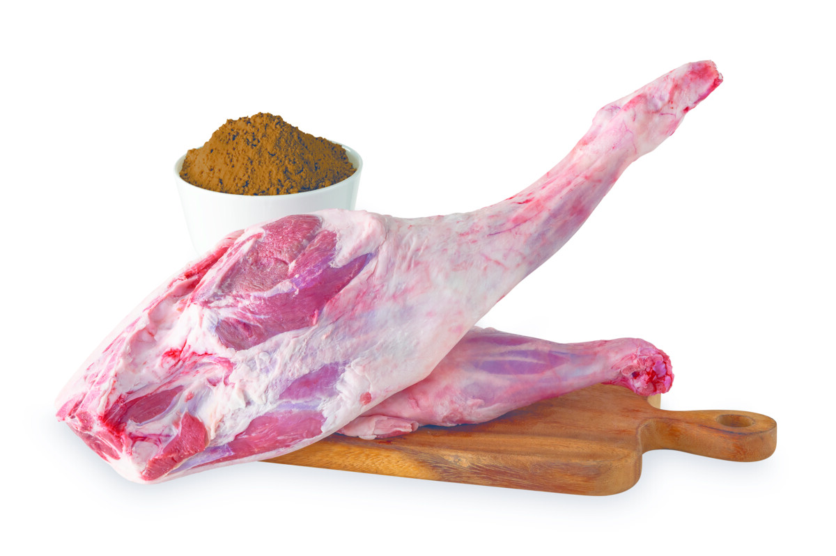 LAMMPROTEIN